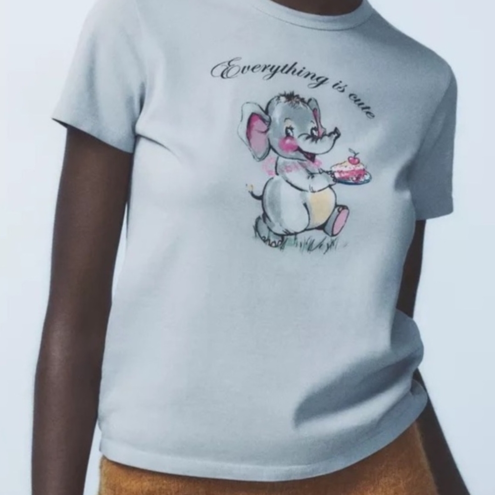 Zara Light Gray Tee